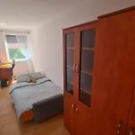 Sweet & Sweet Cats & Fast Internet Wrocław