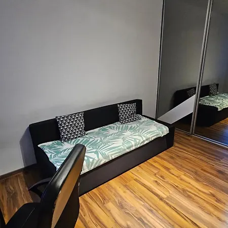 Hostel Sweet & Sweet Cats & Fast Internet