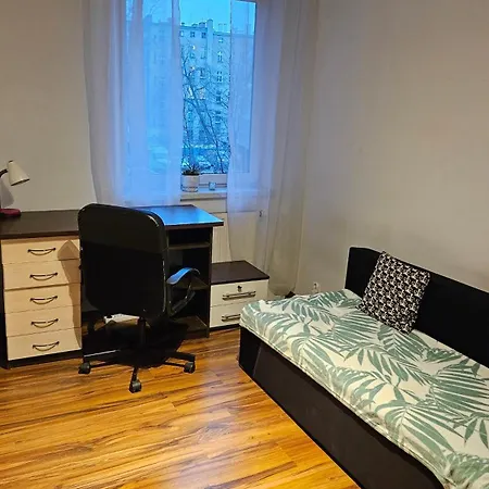 Sweet & Sweet Cats & Fast Internet * Wrocław