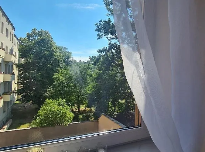 Sweet & Sweet Cats & Fast Internet Wrocław