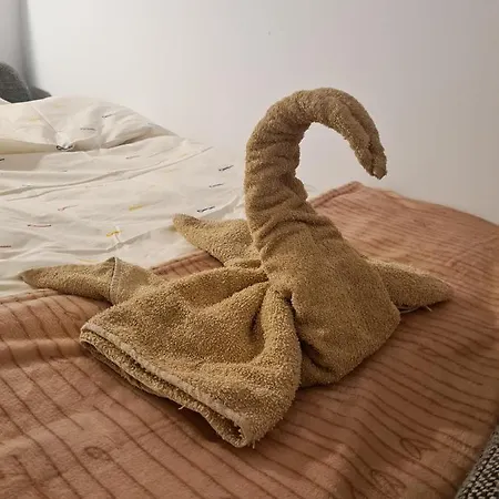 Sweet & Sweet Cats & Fast Internet * Вроцлав