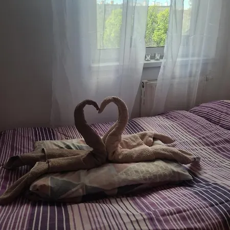 Хостел Sweet & Sweet Cats & Fast Internet