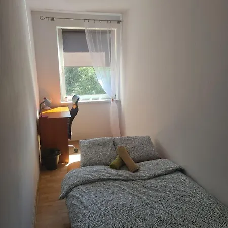 Sweet & Sweet Cats & Fast Internet Hostel