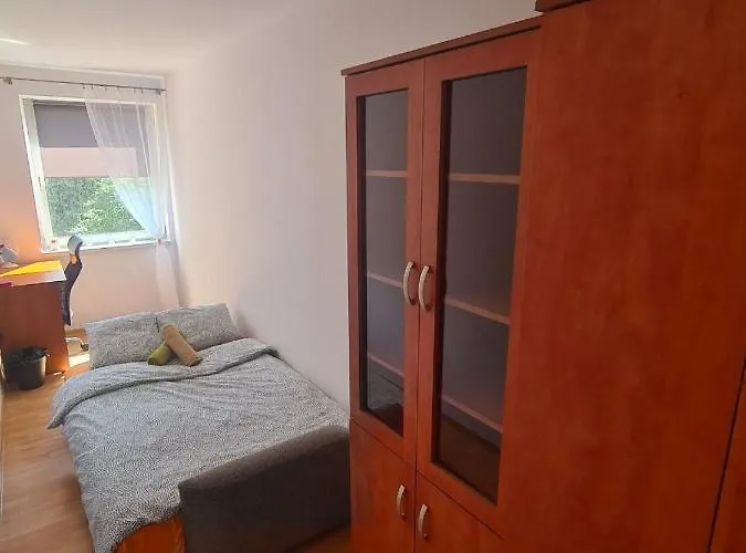 Sweet & Sweet Cats & Fast Internet Вроцлав