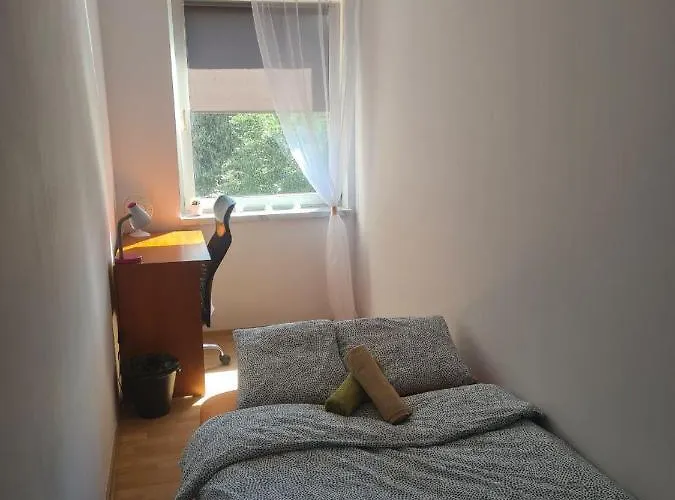 Sweet & Sweet Cats & Fast Internet Хостел