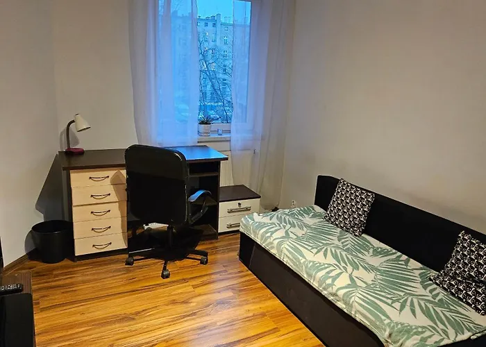 Sweet & Sweet Cats & Fast Internet * Вроцлав